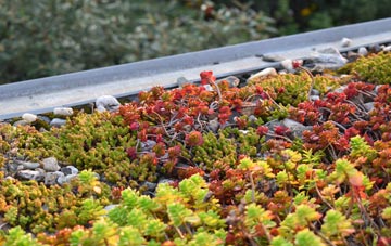 the cost of Glan Y Mor green roof installation