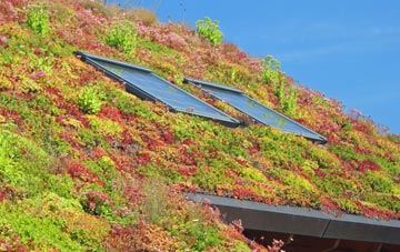 Glan Y Mor living roof systems