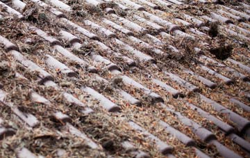 Glan Y Mor roof cleaning companies